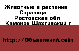  Животные и растения - Страница 30 . Ростовская обл.,Каменск-Шахтинский г.